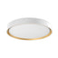 Kuzco Essex 20-in Flush Mount