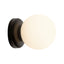 Alora Mood Fiona 5-in Wall Sconce