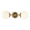 Alora Mood Fiore 18-in Wall/Vanity Light