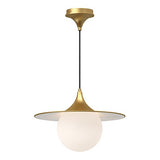 Fuji PD525216