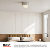 Alora Mood Harvey 12-in Semi-Flush Mount