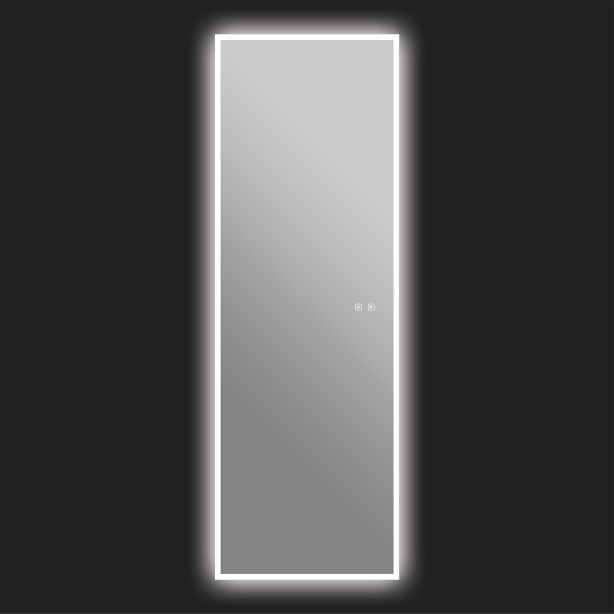 Camden LED Mirror in 22" x 65"