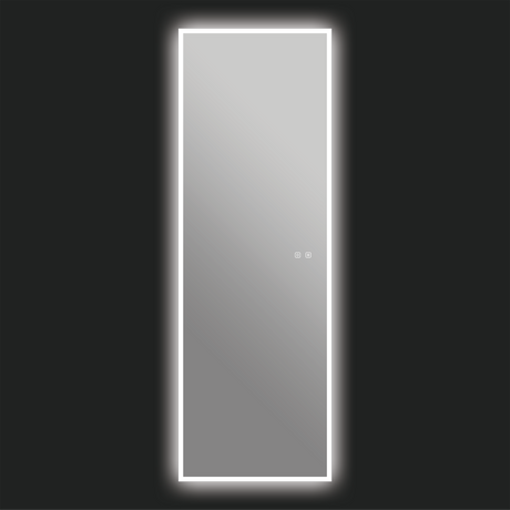 Camden LED Mirror in 22" x 65"