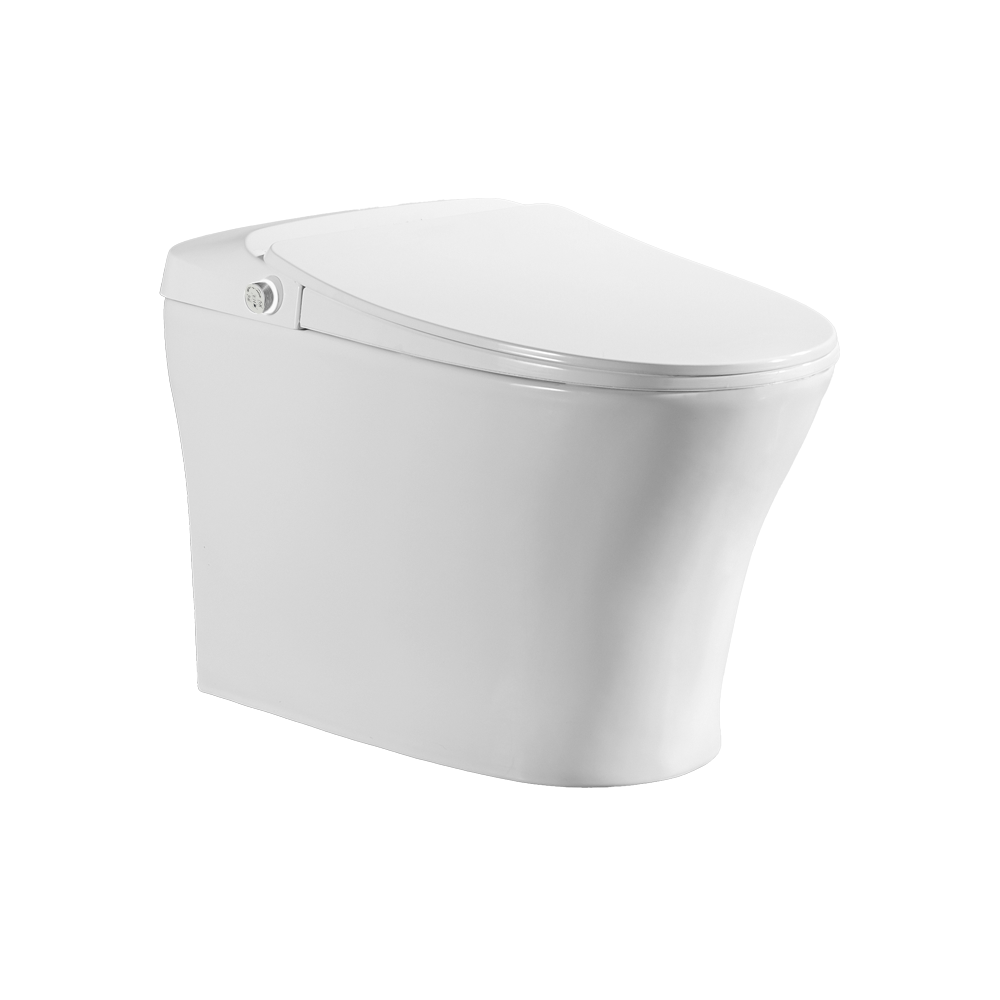 iWASH CS-18 Bidet Toilet