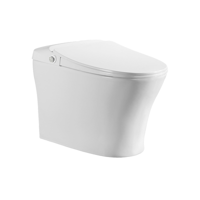 iWASH CS-18 Bidet Toilet