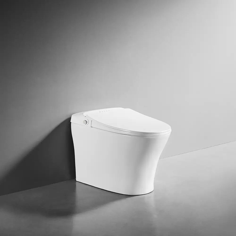 iWASH CS-18 Bidet Toilet