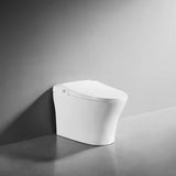 iWASH CS-18 Bidet Toilet