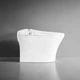 iWASH CS-18 Bidet Toilet