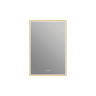 Nova Medicine Cabinet in Brushed Gold