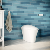 iWASH CS-22 Bidet Toilet