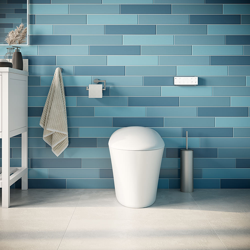 iWASH CS-22 Bidet Toilet