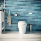 iWASH CS-22 Bidet Toilet