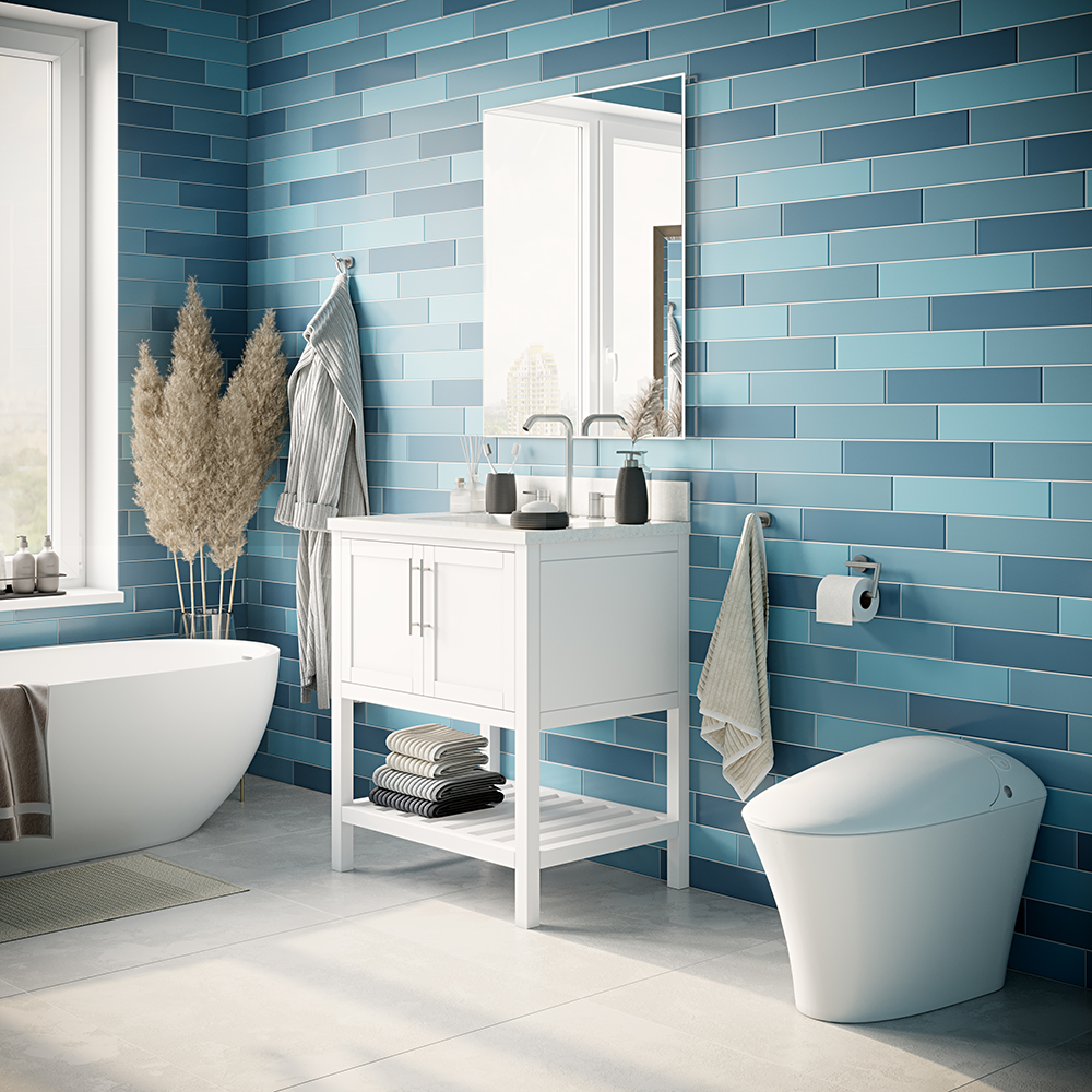 iWASH CS-22 Bidet Toilet