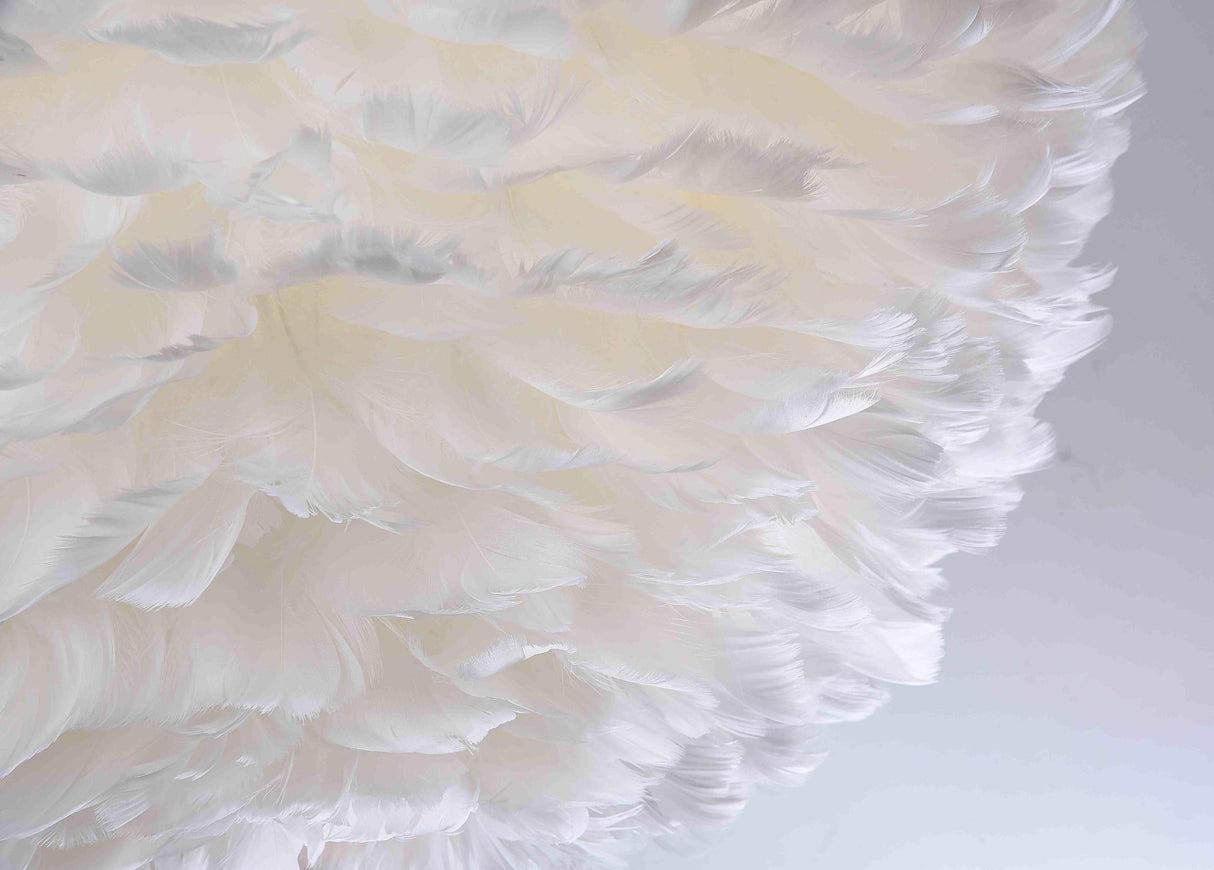 Chandelier DLS14C21W