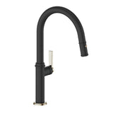 ZEHN KITCHEN FAUCET