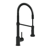 LINZ KITCHEN FAUCET