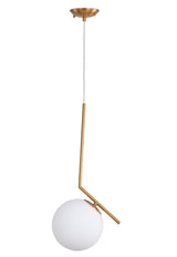 Single Pendant Lighting DU73