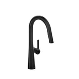 Ludik Kitchen Faucet With Spray