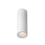 Kuzco Architectural Lorna 7-in (2-in Dia.) Flush Mount