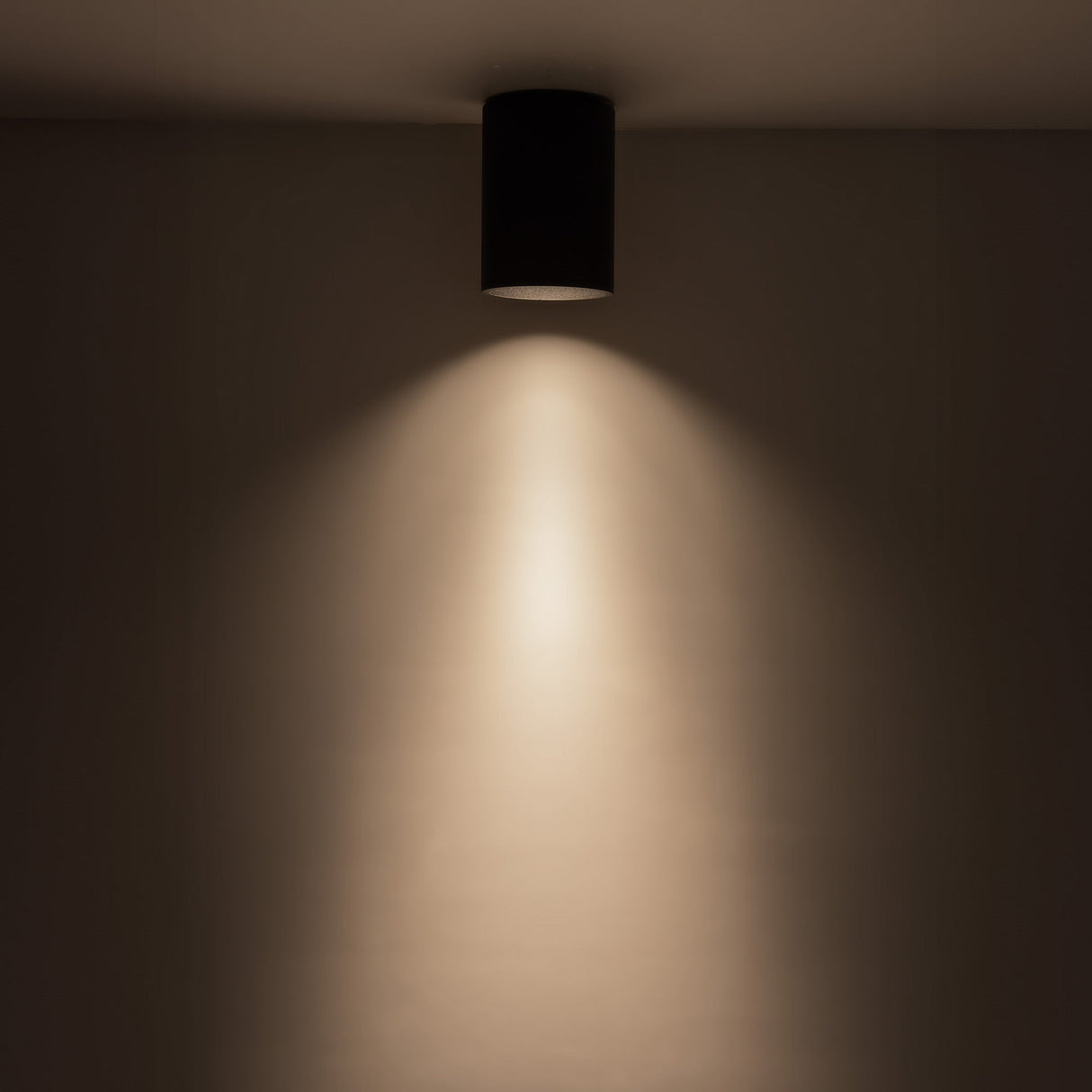 Kuzco Architectural Lorna 6-in (4-in Dia.) Flush Mount