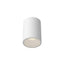 Kuzco Architectural Lorna 6-in (4-in Dia.) Flush Mount