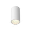 Kuzco Architectural Lorna 8-in (4-in Dia.) Flush Mount