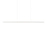 Chute LP14947