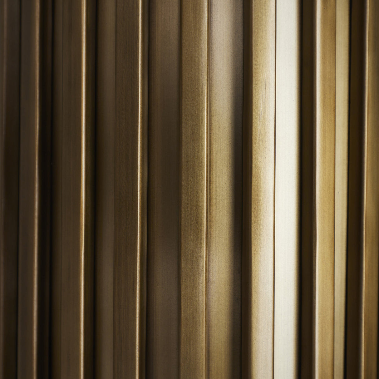 Fenice