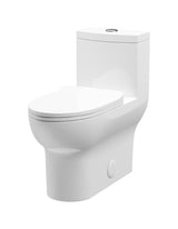 Toilet 76