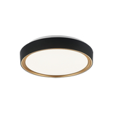 Matteo Ceiling Mount M10601BK