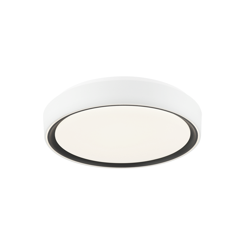 Matteo Ceiling Mount M10601BK