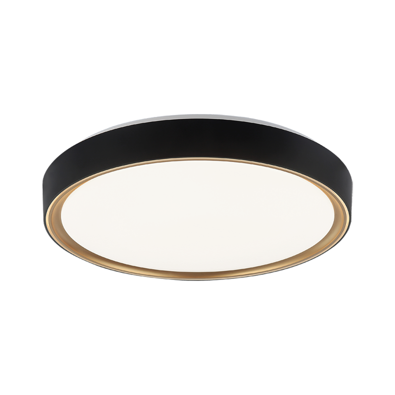 Matteo Ceiling Mount M10602BK