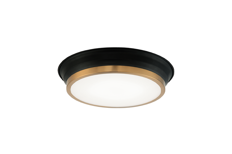 Matteo Ceiling Mount M11201BK