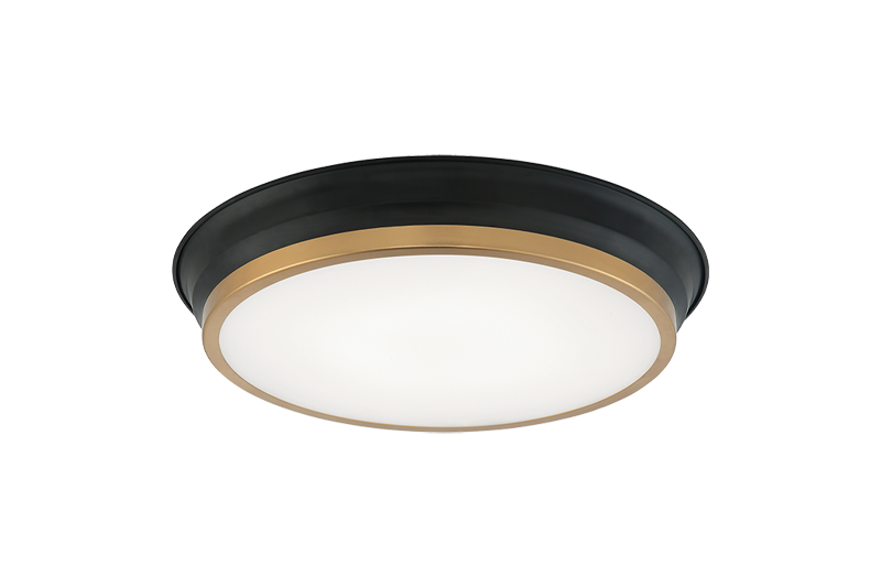 Matteo Ceiling Mount M11202BK