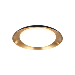 Matteo Ceiling Mount M12215BK