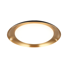 Matteo Ceiling Mount M12218BK