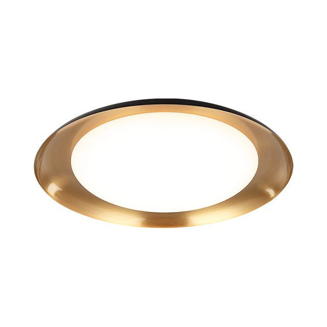 Matteo Ceiling Mount M12218BK