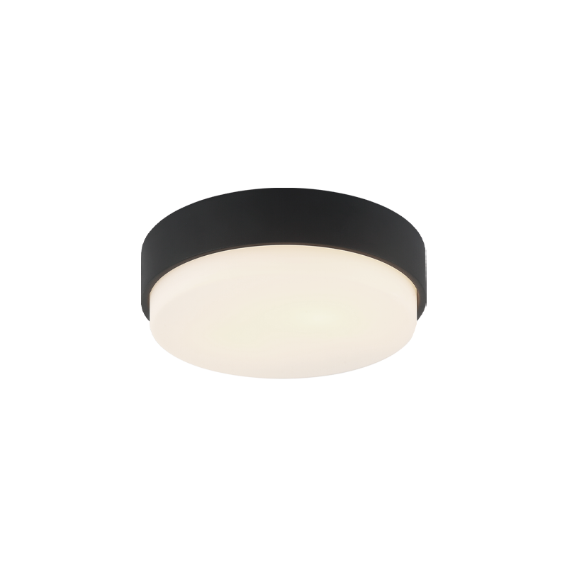 Matteo Ceiling Mount M13202