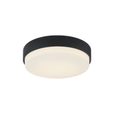 Matteo Ceiling Mount M13203