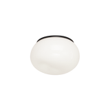 Matteo Flush Mounts M14001AG