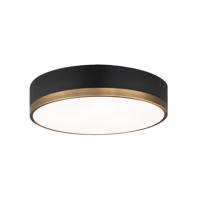 Matteo Ceiling Mount M14303BK