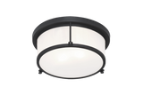 Matteo Ceiling Mount M14902