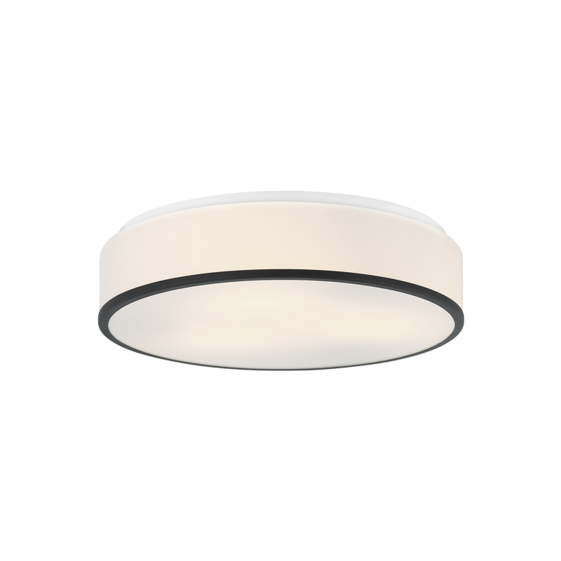Matteo Ceiling Mount M15803
