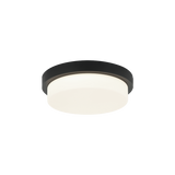 Matteo Ceiling Mount M15901