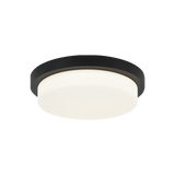 Matteo Ceiling Mount M15902
