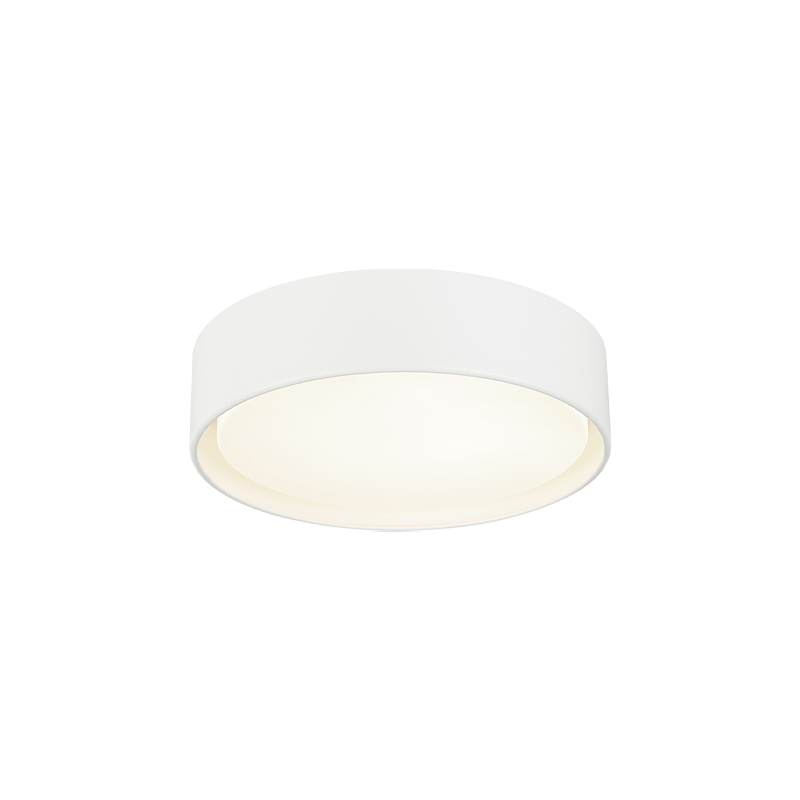 Matteo Ceiling Mount M16613