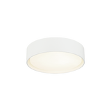 Matteo Ceiling Mount M16613