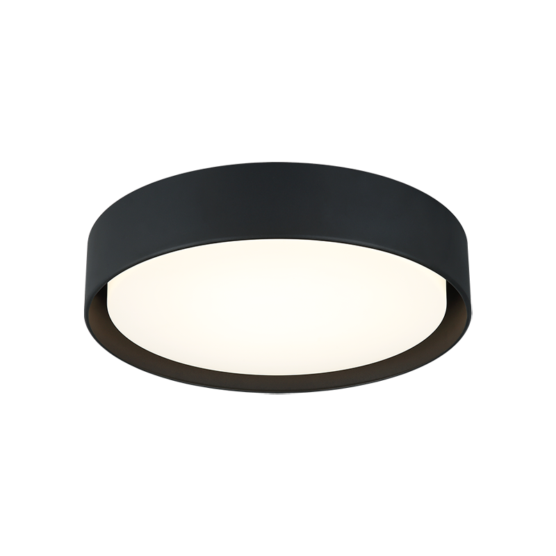 Matteo Ceiling Mount M16616