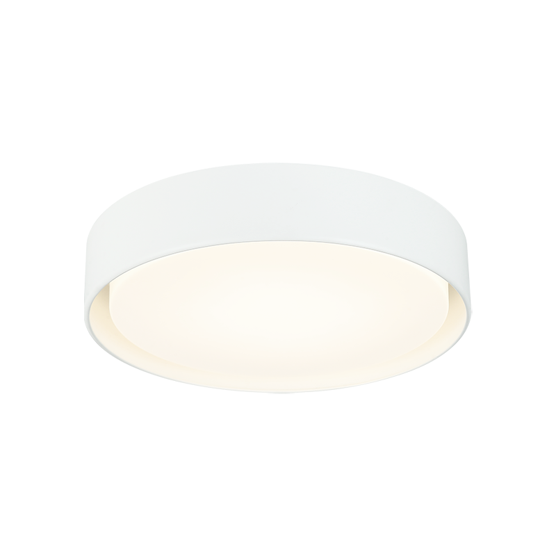 Matteo Ceiling Mount M16616