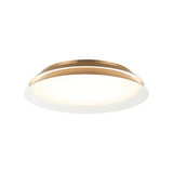 Matteo Wall Sconce M19118AG